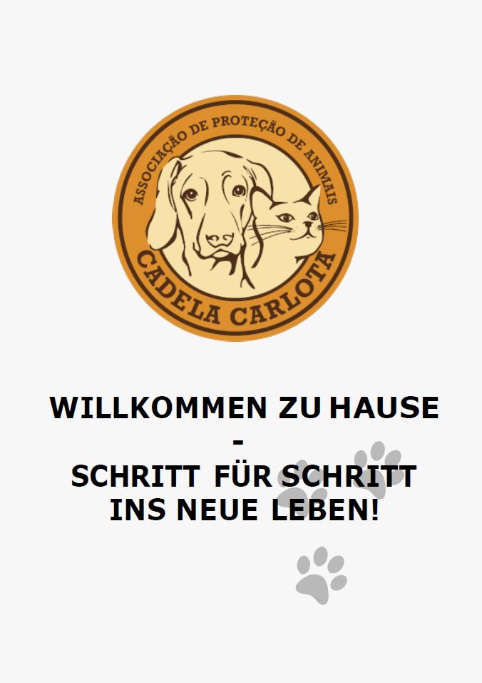 Preview of 'Willkommen Zu Hause Schritt Fuer Schritt Ins Neue Leben'