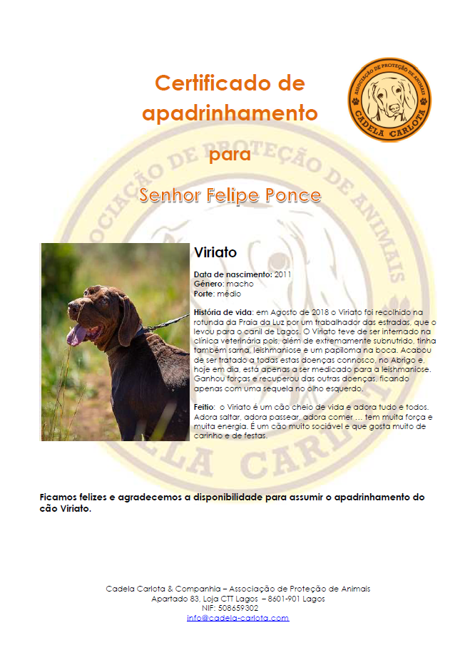 Certificate Viriato PT Certificate Viriato PT